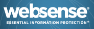 Web Secutity Provider
